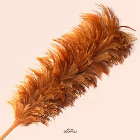 Feather duster